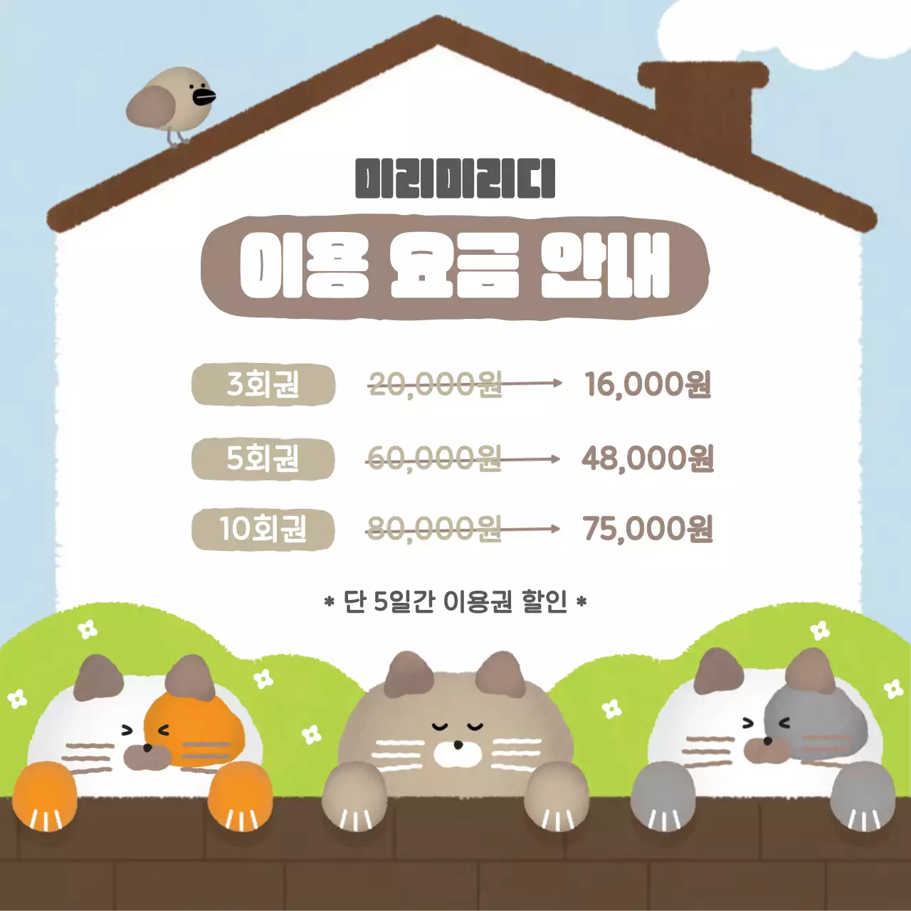 고양이 카드뉴스