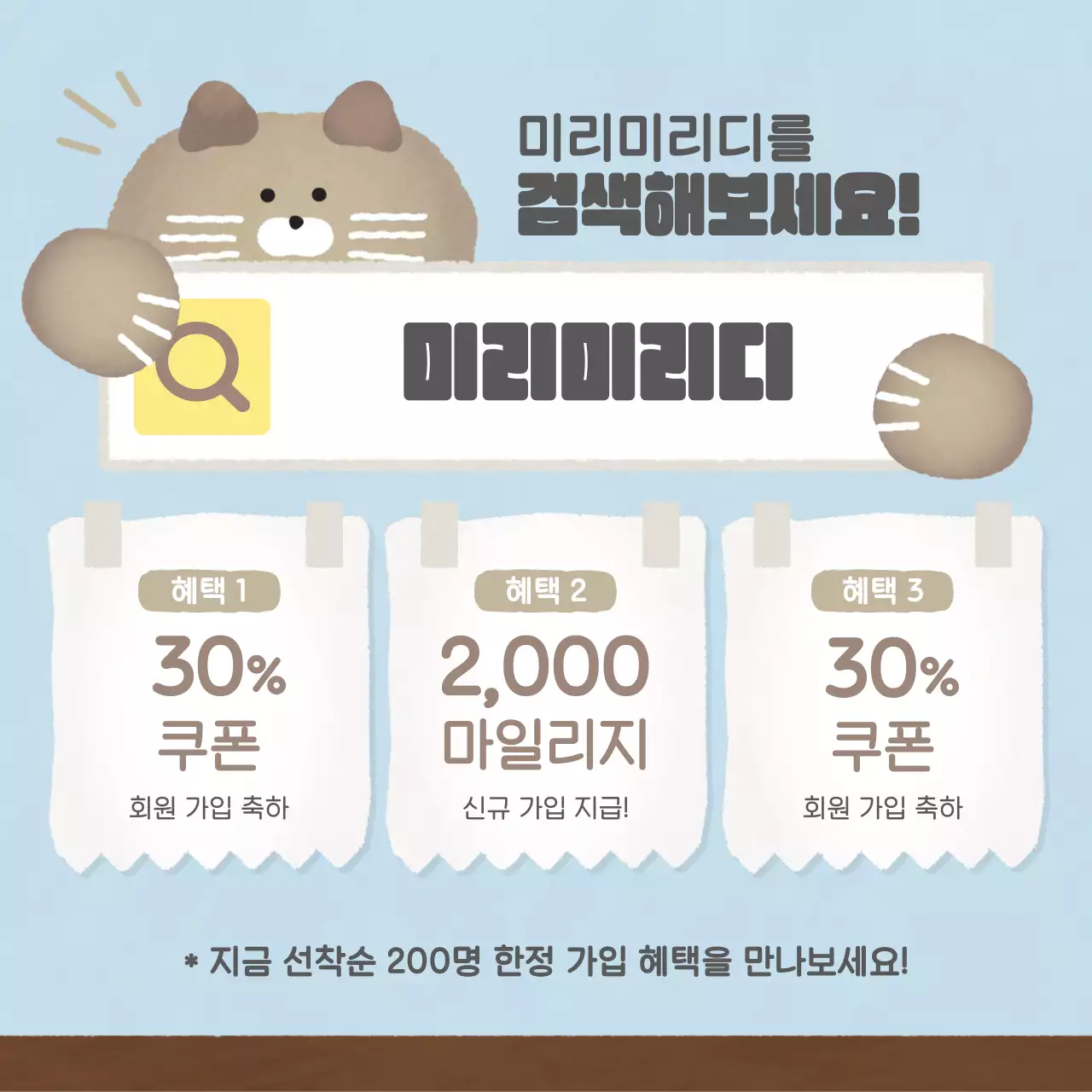 고양이 카드뉴스