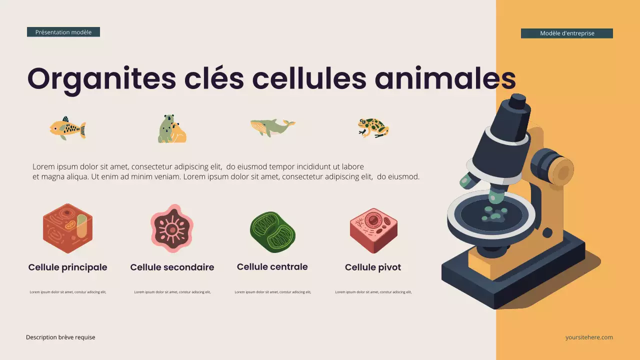 Présentation de biologie isométrique moderne Teal