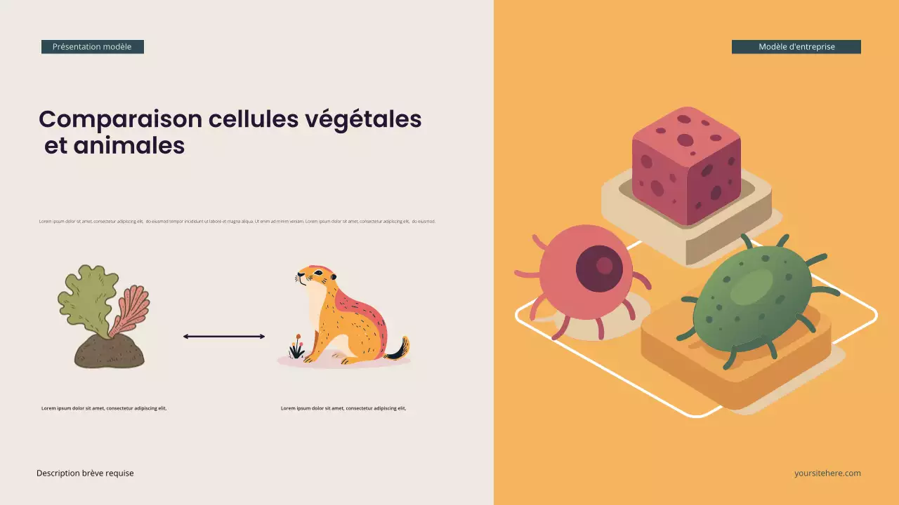 Présentation de biologie isométrique moderne Teal