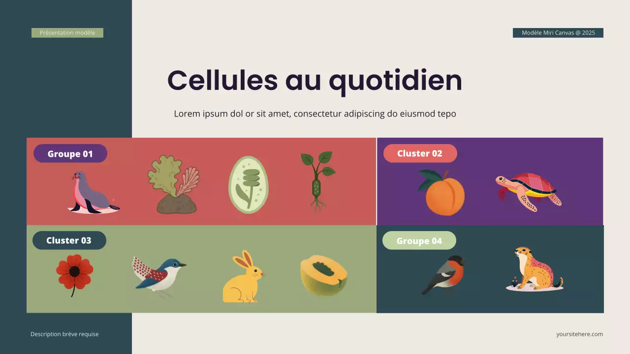 Présentation de biologie isométrique moderne Teal