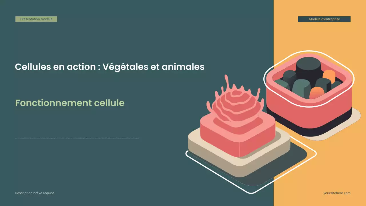 Présentation de biologie isométrique moderne Teal