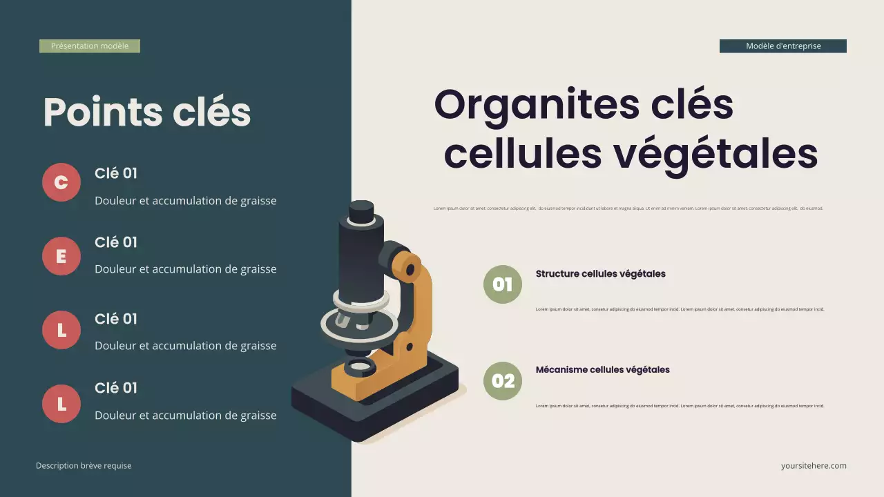 Présentation de biologie isométrique moderne Teal