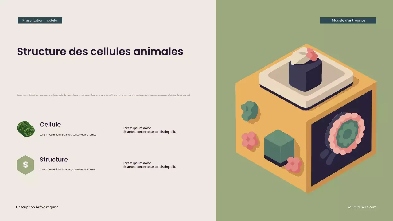 Présentation de biologie isométrique moderne Teal
