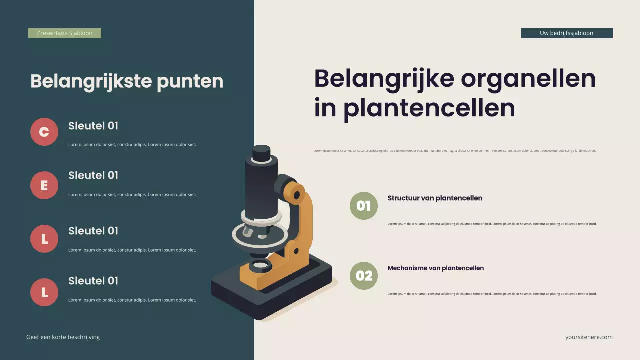 Teal Moderne Isometrische Biologie Presentatie