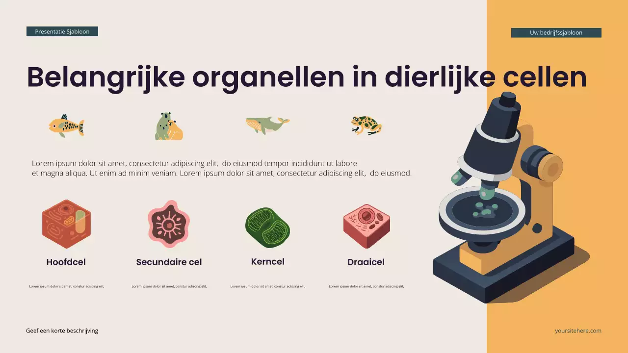 Teal Moderne Isometrische Biologie Presentatie