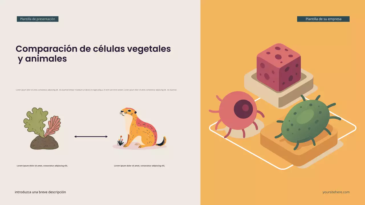 Presentación de biología isométrica moderna en verde azulado
