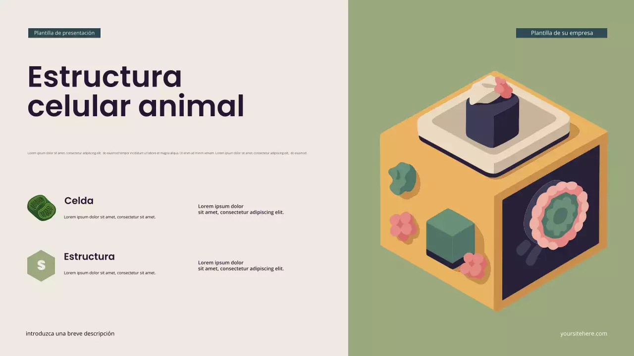 Presentación de biología isométrica moderna en verde azulado