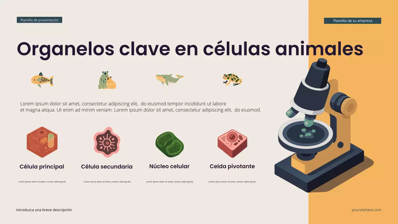 Presentación de biología isométrica moderna en verde azulado