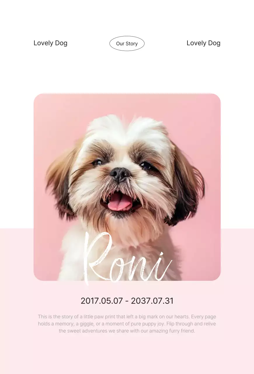 핑크 심플 반려동물 사진 엽서