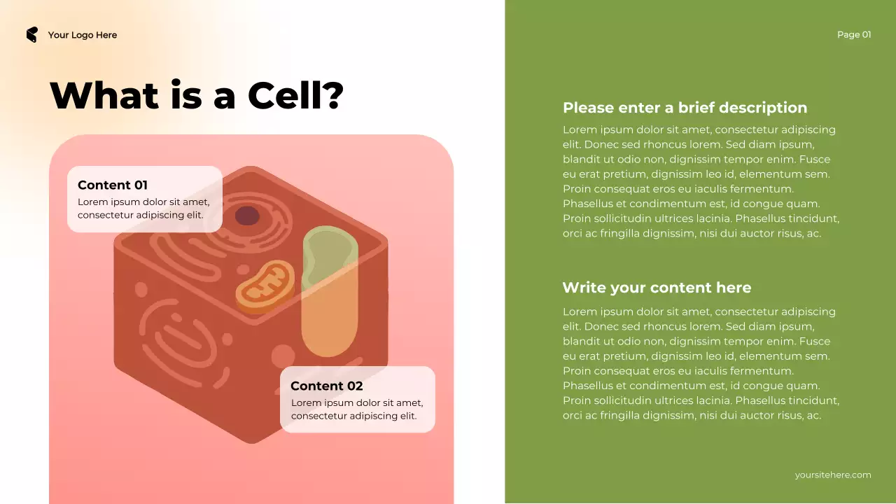 Brown and Pink Illustrative Cell in Action Plant vs Animal Presentation