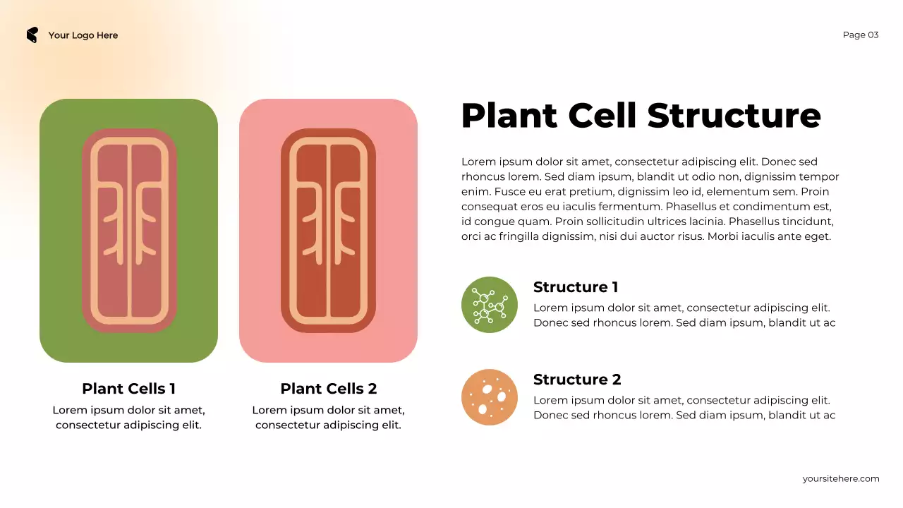 Brown and Pink Illustrative Cell in Action Plant vs Animal Presentation