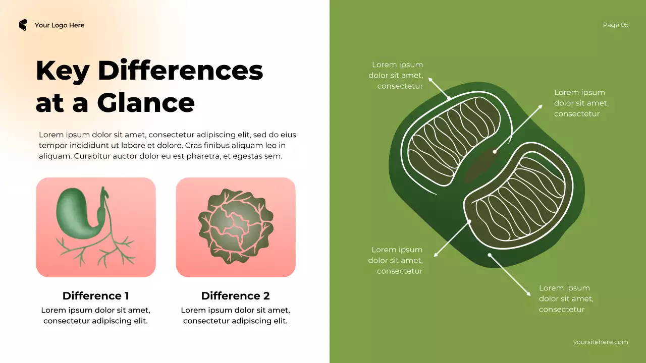 Brown and Pink Illustrative Cell in Action Plant vs Animal Presentation