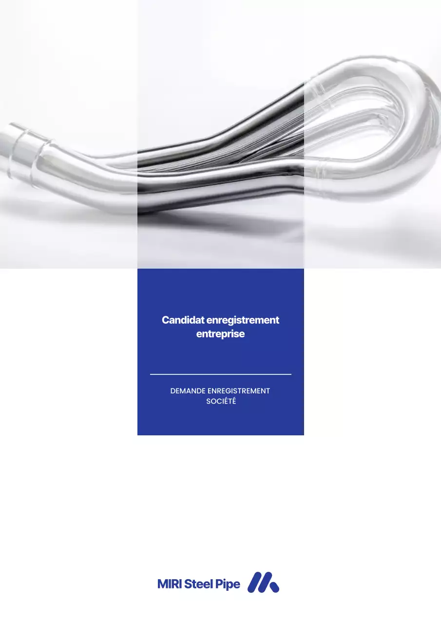 Guide d'enregistrement des entreprises modernes bleues