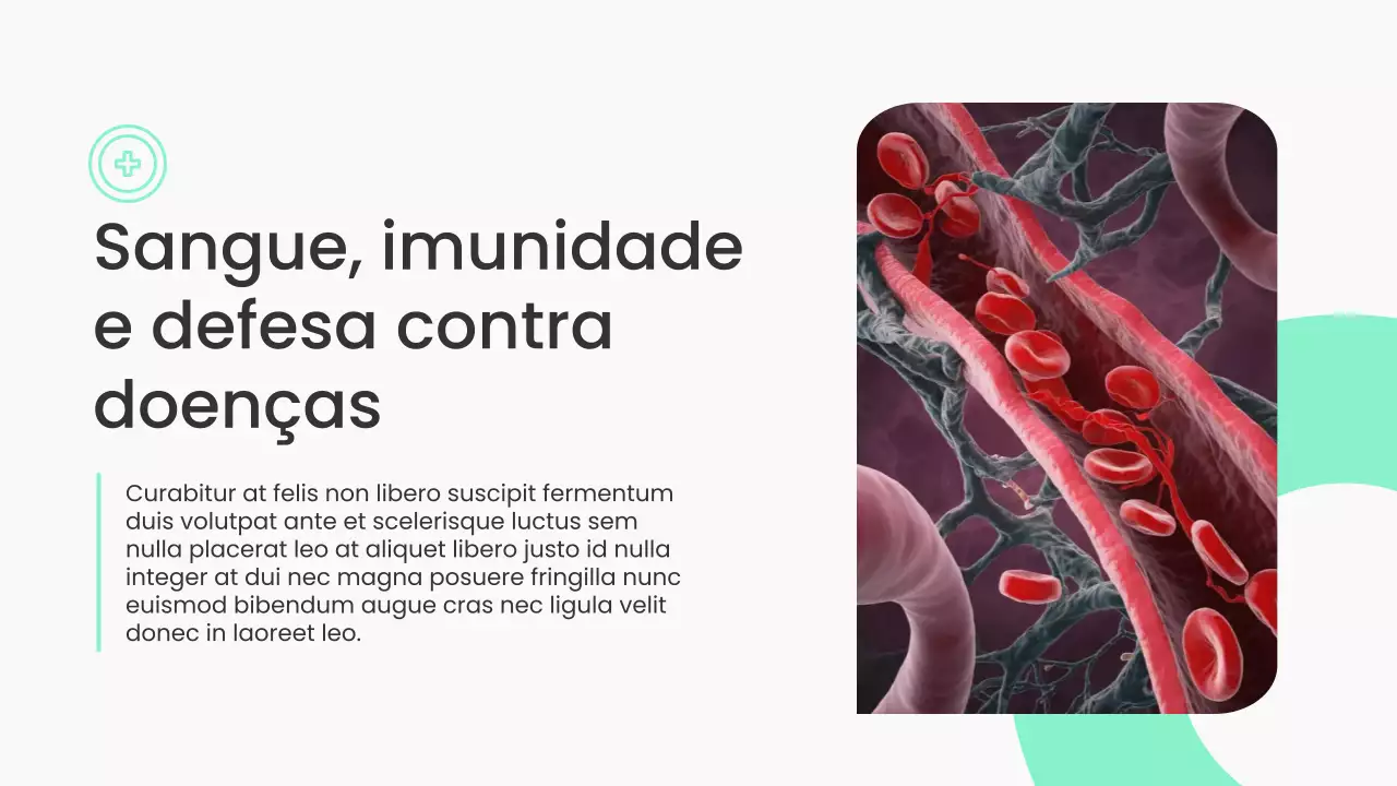 Apresentação do Guia de Saúde Moderna Mint