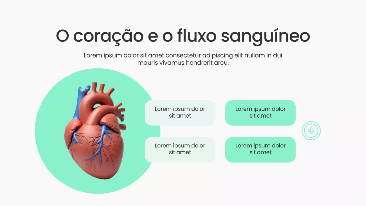 Apresentação do Guia de Saúde Moderna Mint