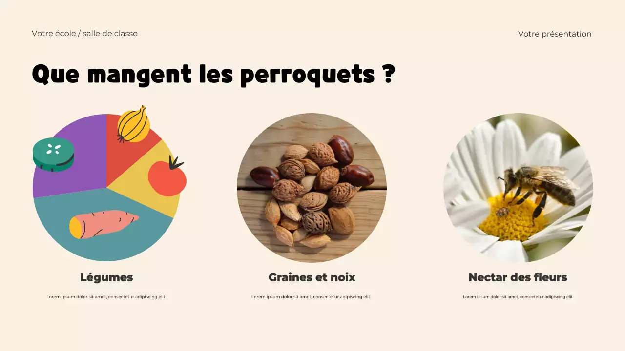 Modèle de présentation d'animaux ludiques