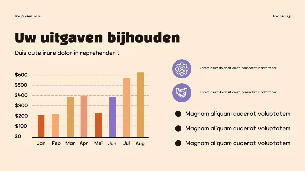 Paarse trendy budgettering infographic presentatie