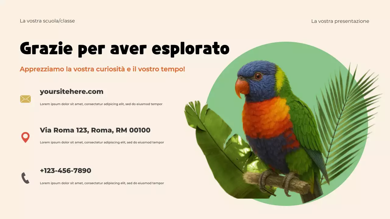 Presentazione del modello di animali giocosi