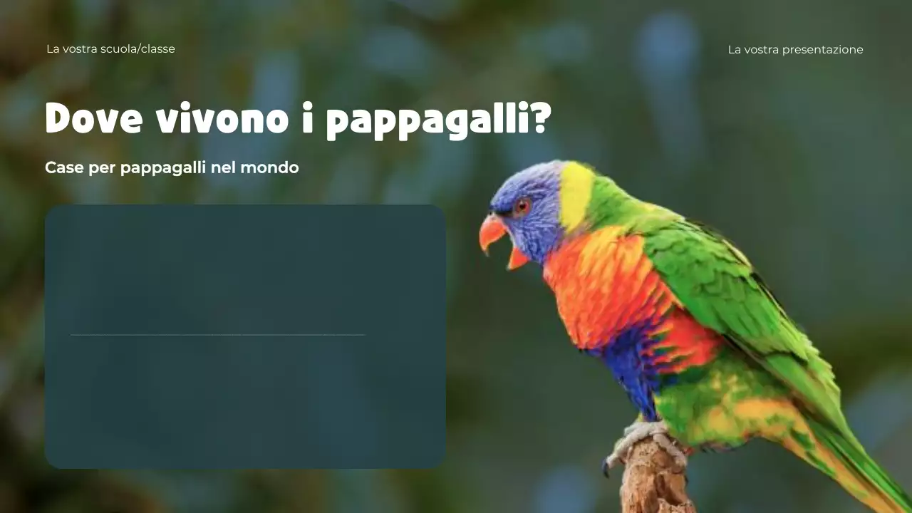 Presentazione del modello di animali giocosi