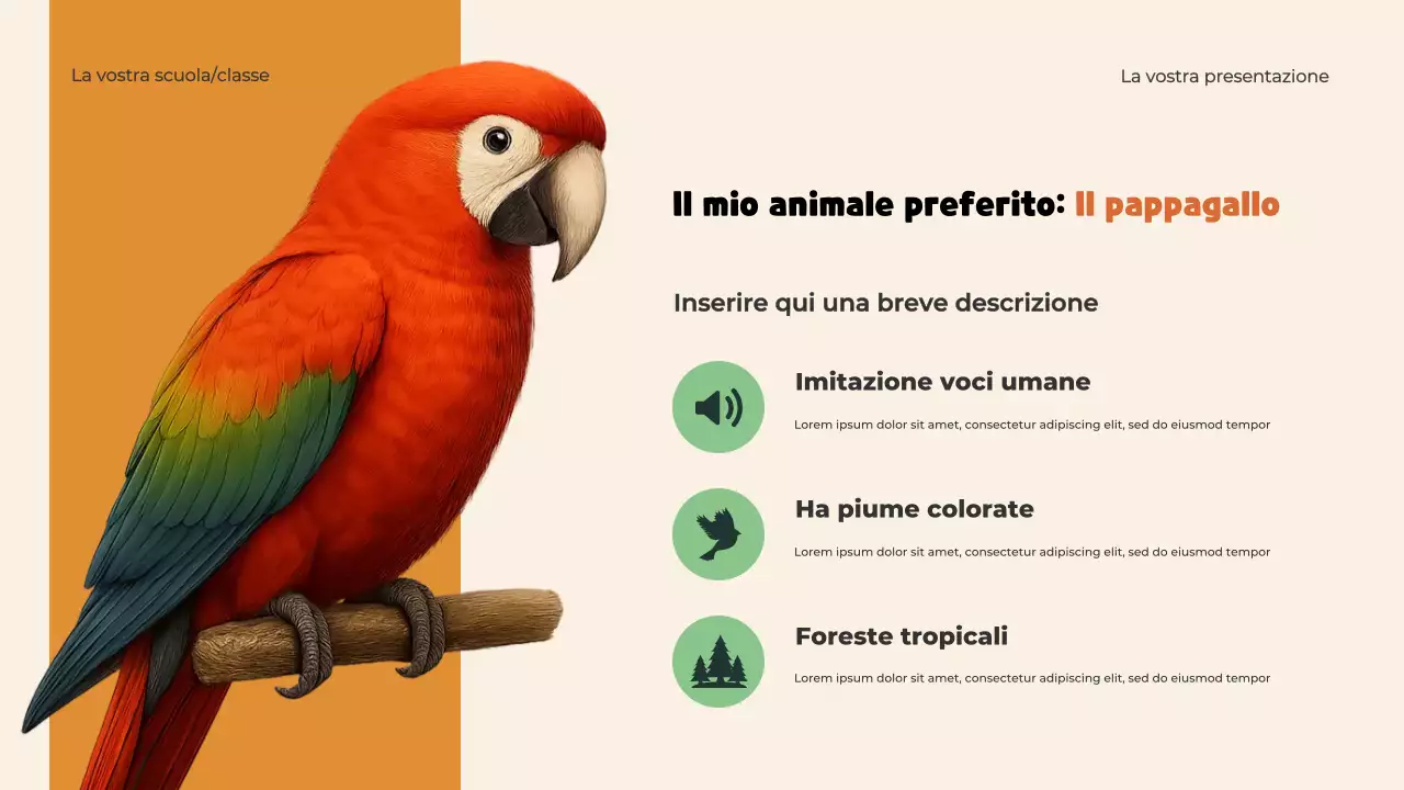 Presentazione del modello di animali giocosi