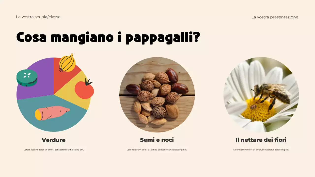 Presentazione del modello di animali giocosi