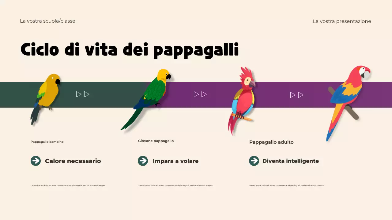 Presentazione del modello di animali giocosi