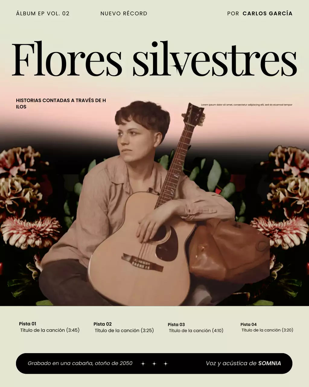 Publicación de Instagram del álbum de música folk indie moderna gris y negra