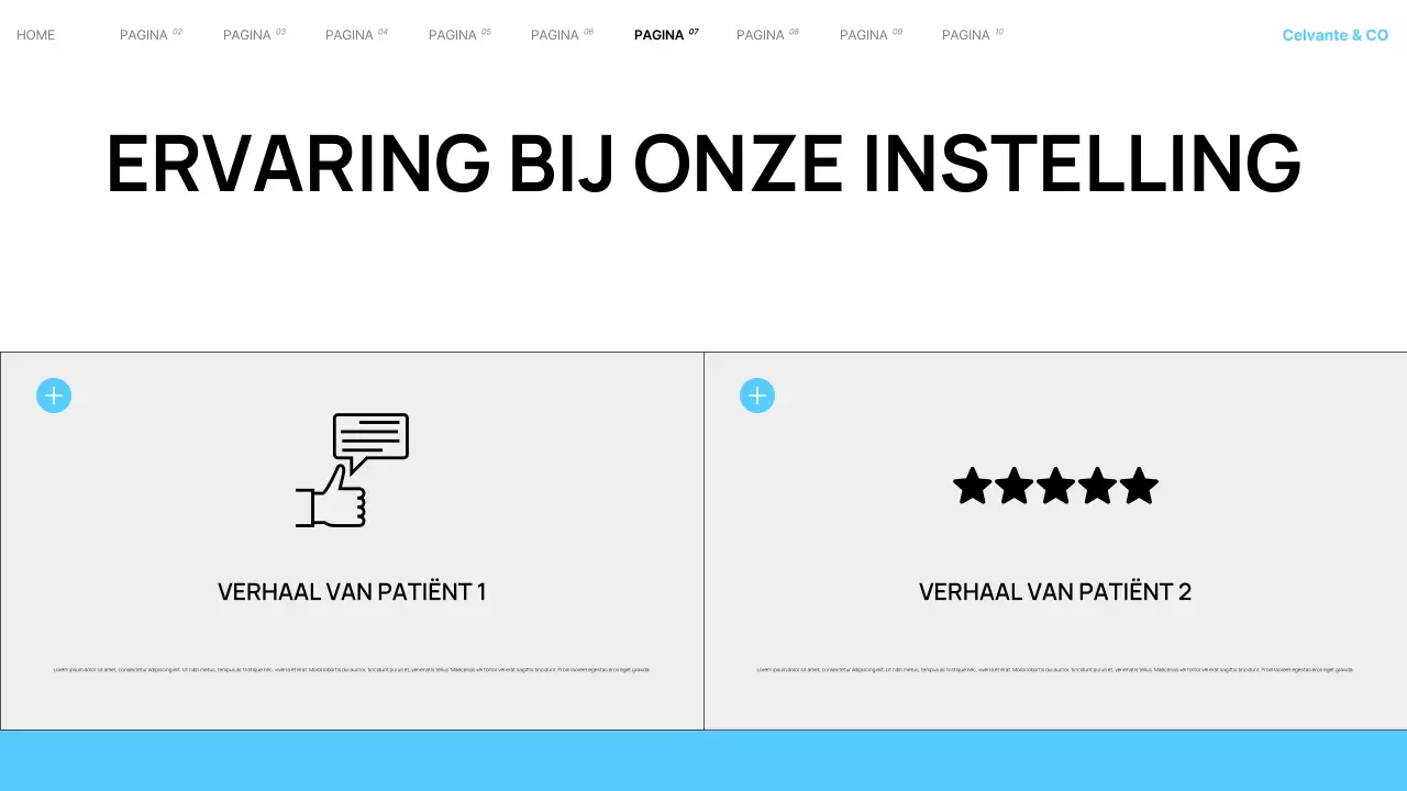 Presentatie van Teal Modern Local Hospital Services