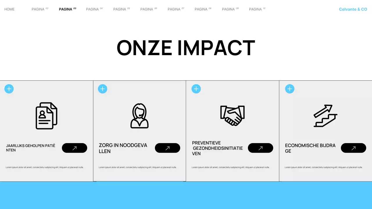 Presentatie van Teal Modern Local Hospital Services