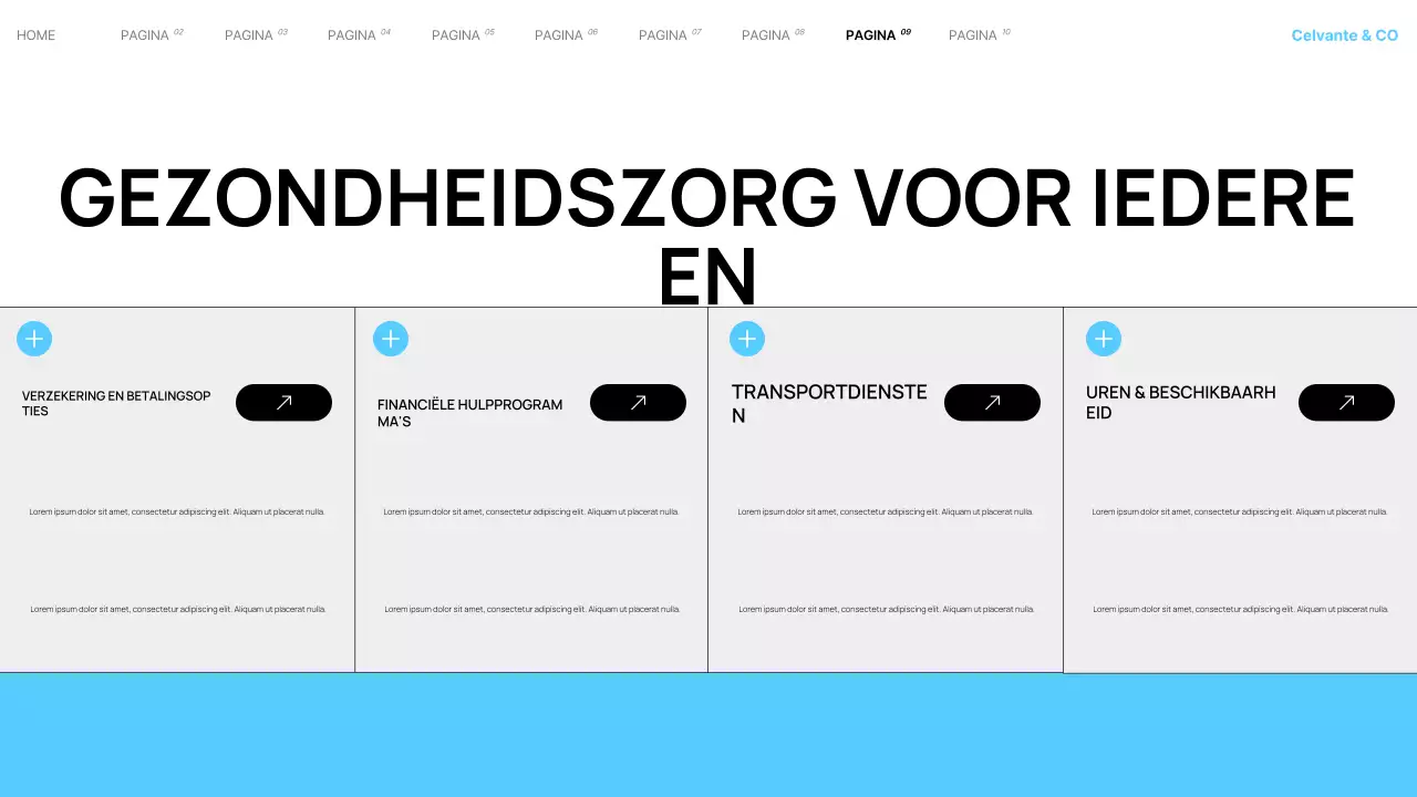 Presentatie van Teal Modern Local Hospital Services