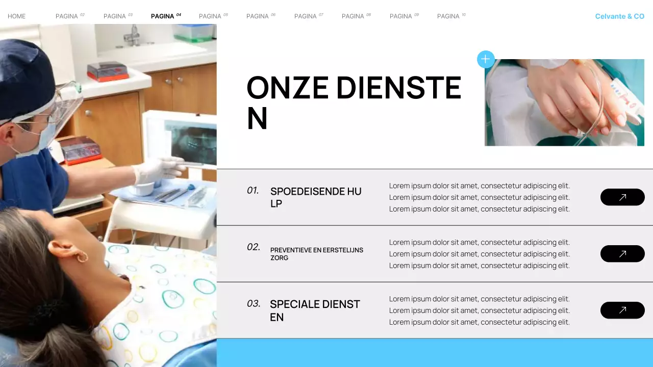 Presentatie van Teal Modern Local Hospital Services