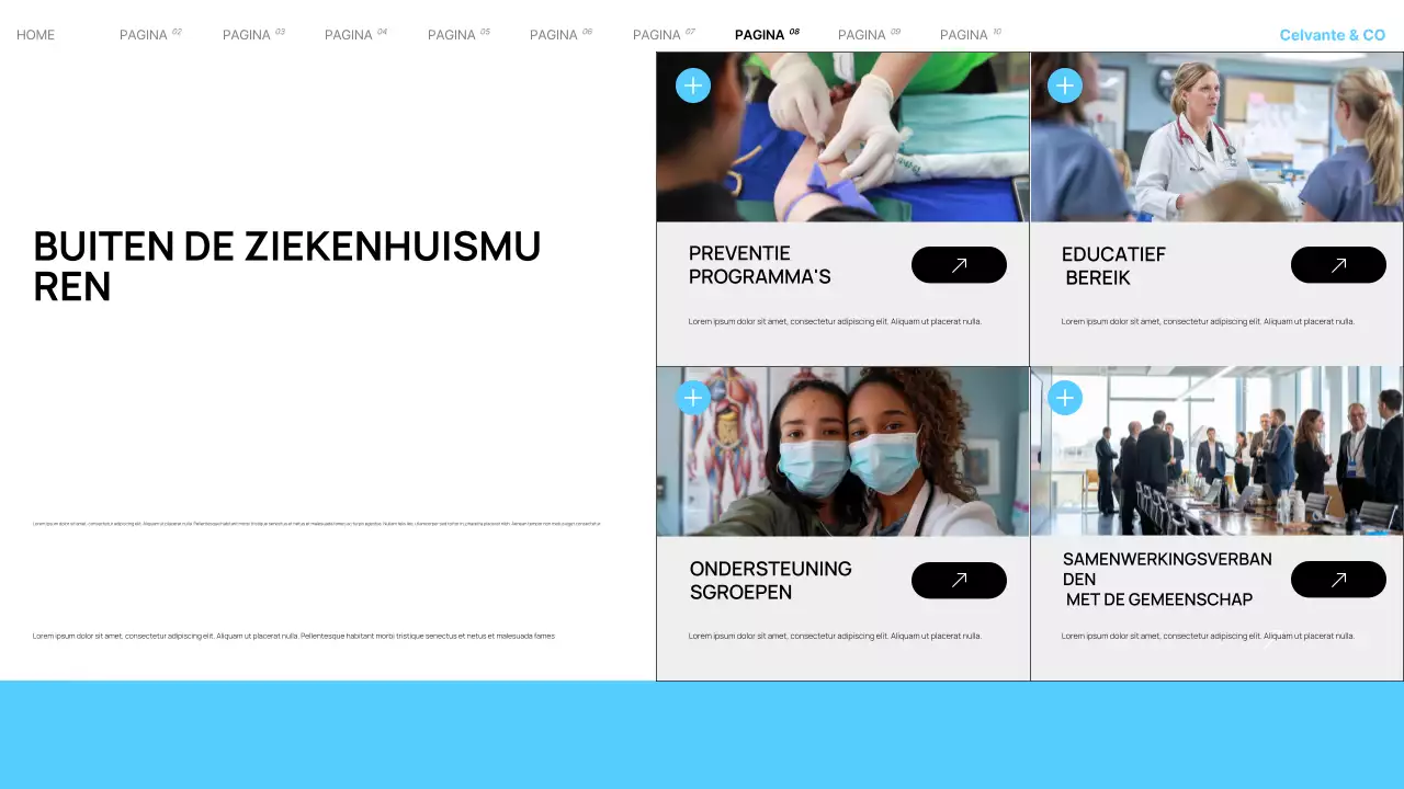 Presentatie van Teal Modern Local Hospital Services