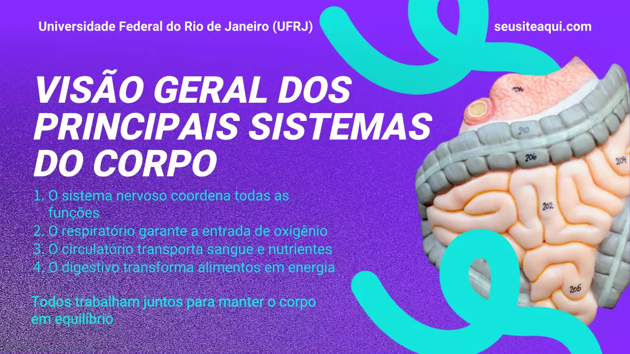 Apresentação do Curso de Saúde Educacional Roxo