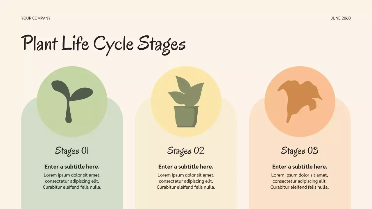 Bài thuyết trình về vòng đời của Sage Botanical Nature