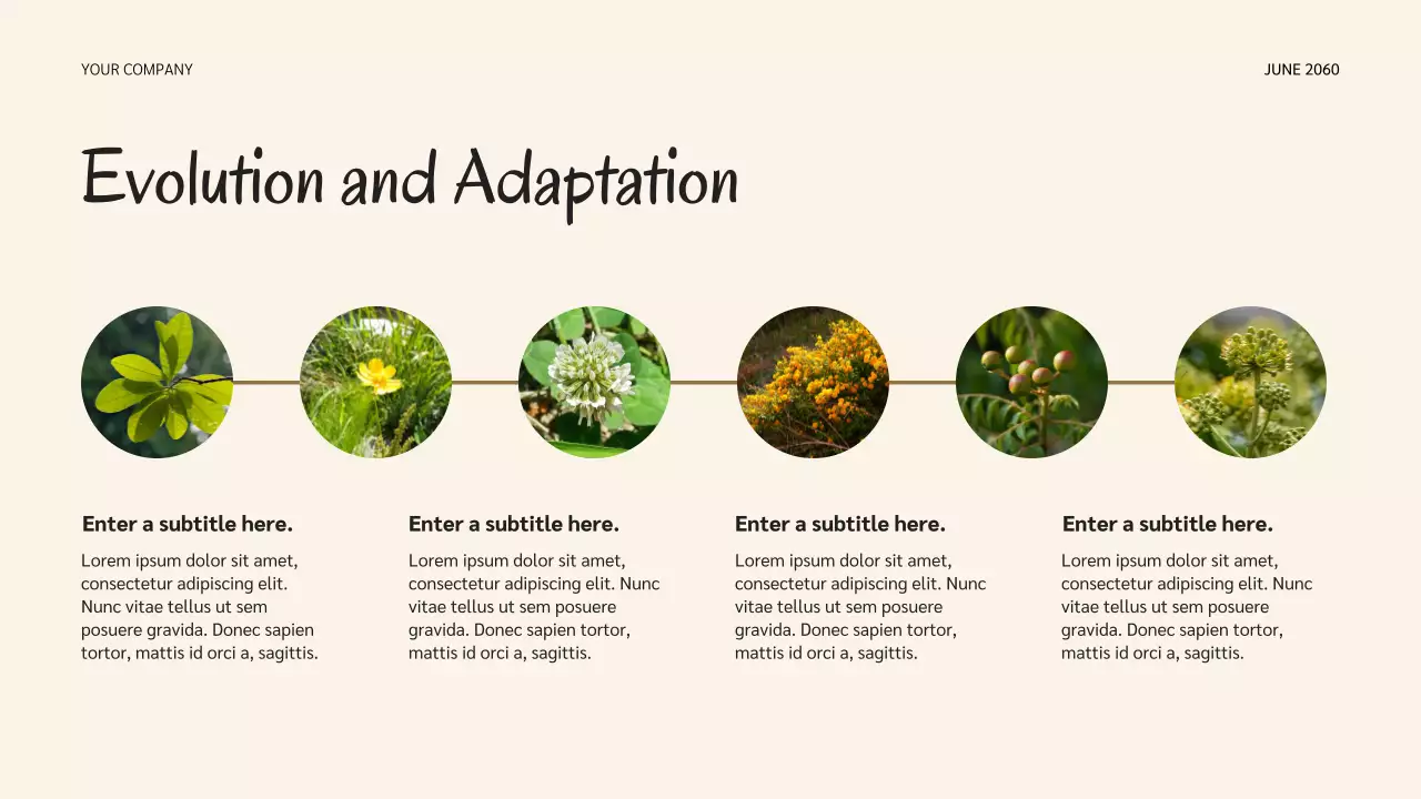 Bài thuyết trình về vòng đời của Sage Botanical Nature