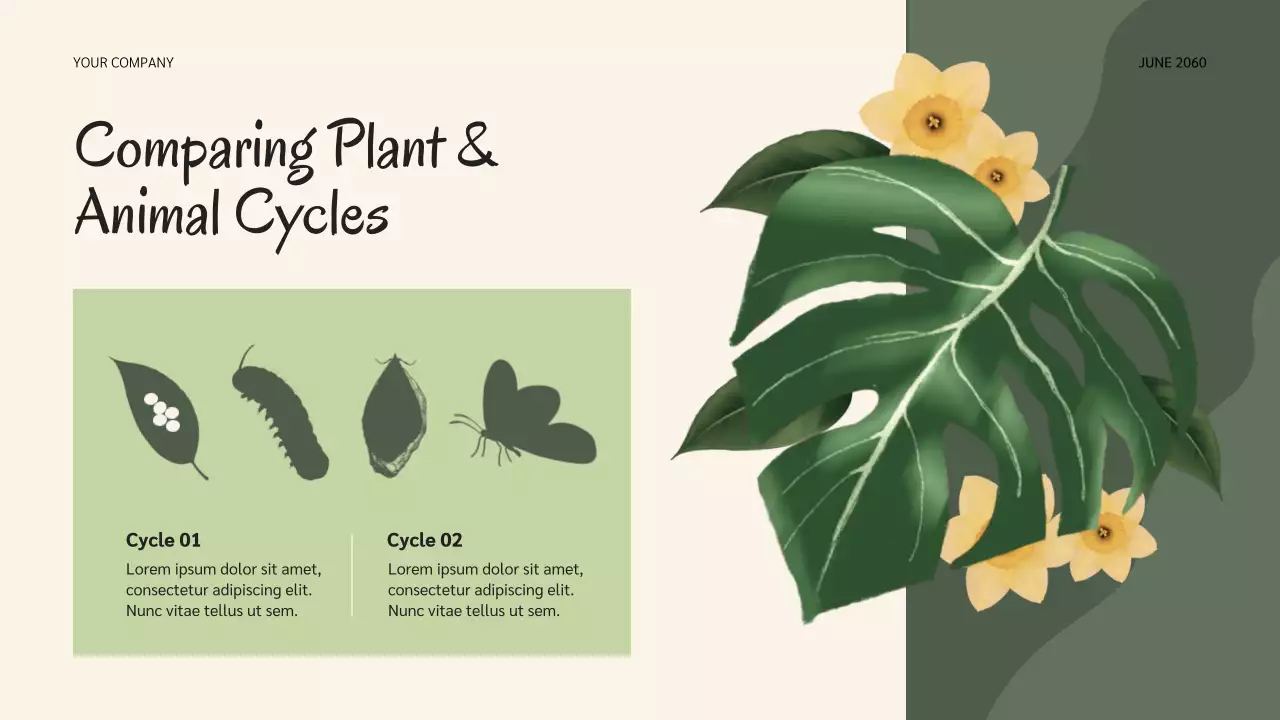 Bài thuyết trình về vòng đời của Sage Botanical Nature