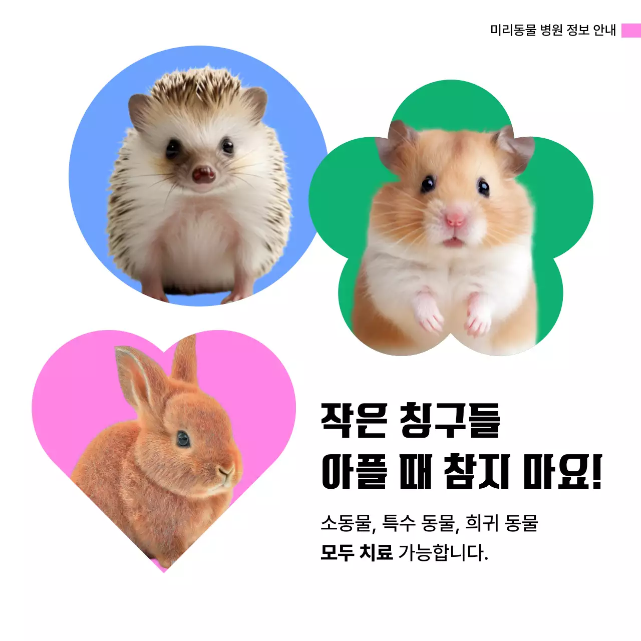 핑크 아기자기한 동물병원 광고