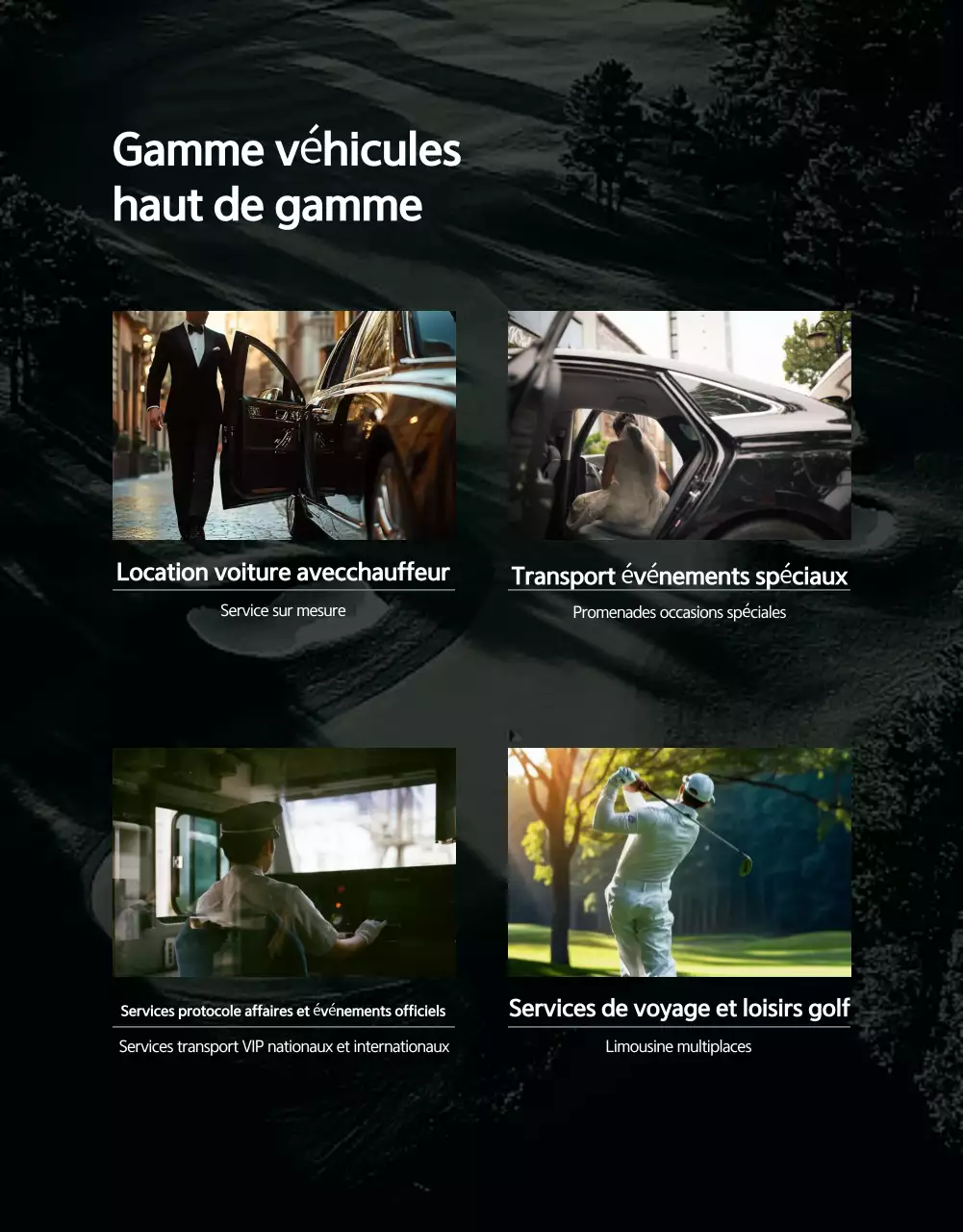 Promotion Mobilité de Luxe Grise