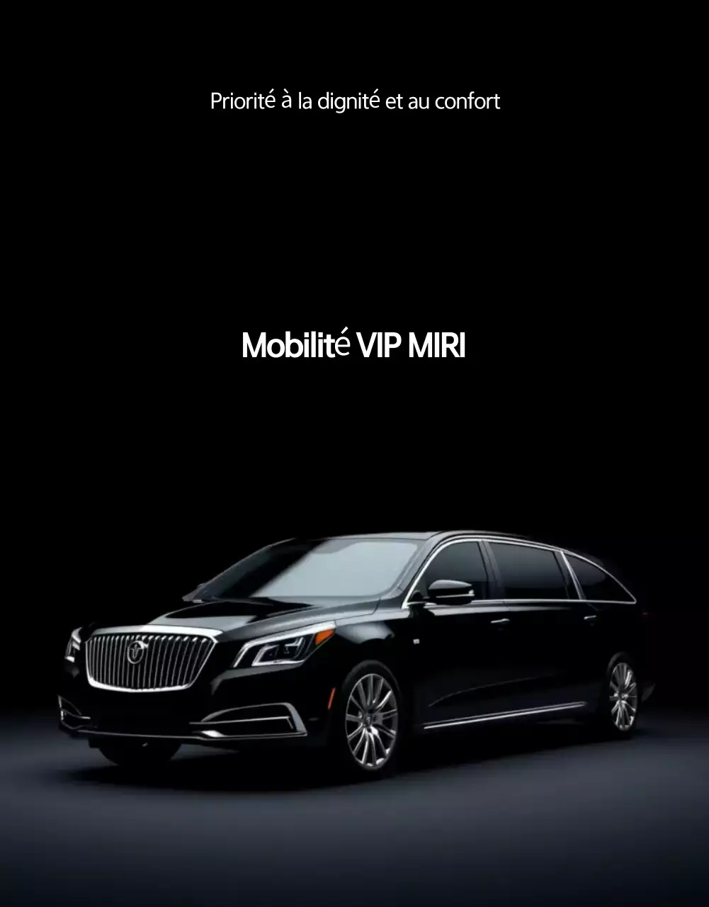 Promotion Mobilité de Luxe Grise