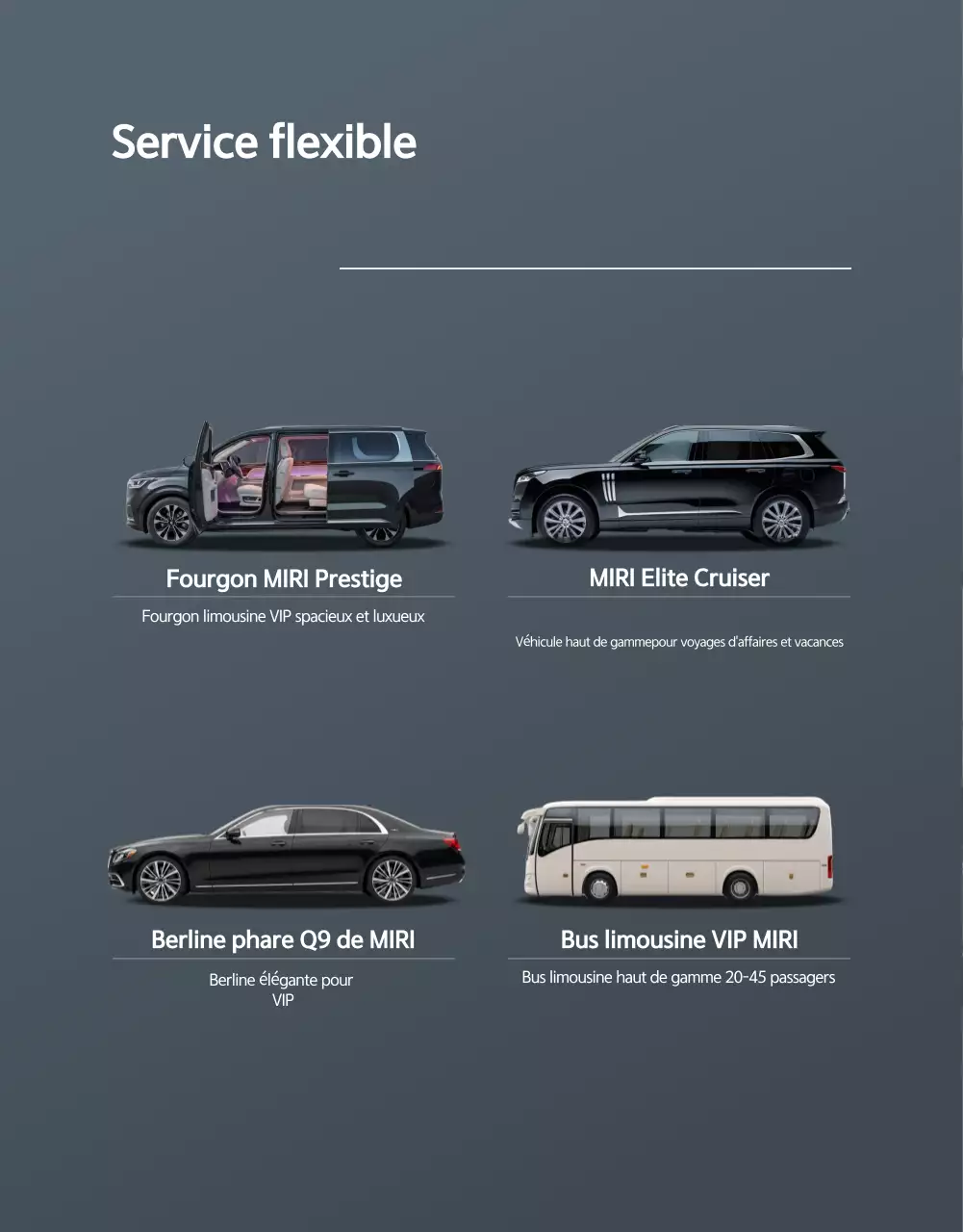 Promotion Mobilité de Luxe Grise