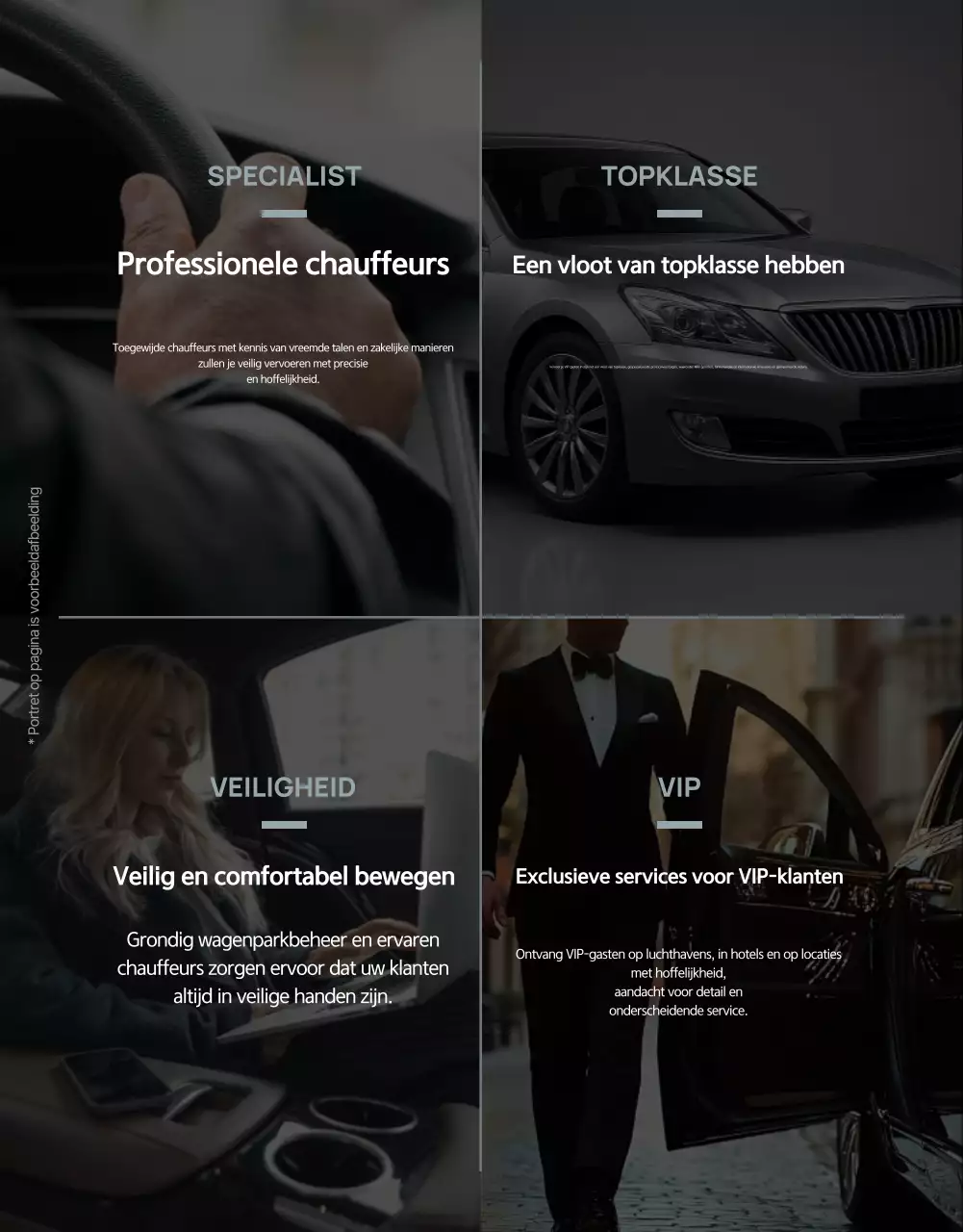 Grijze Luxe Mobiliteitspromotie