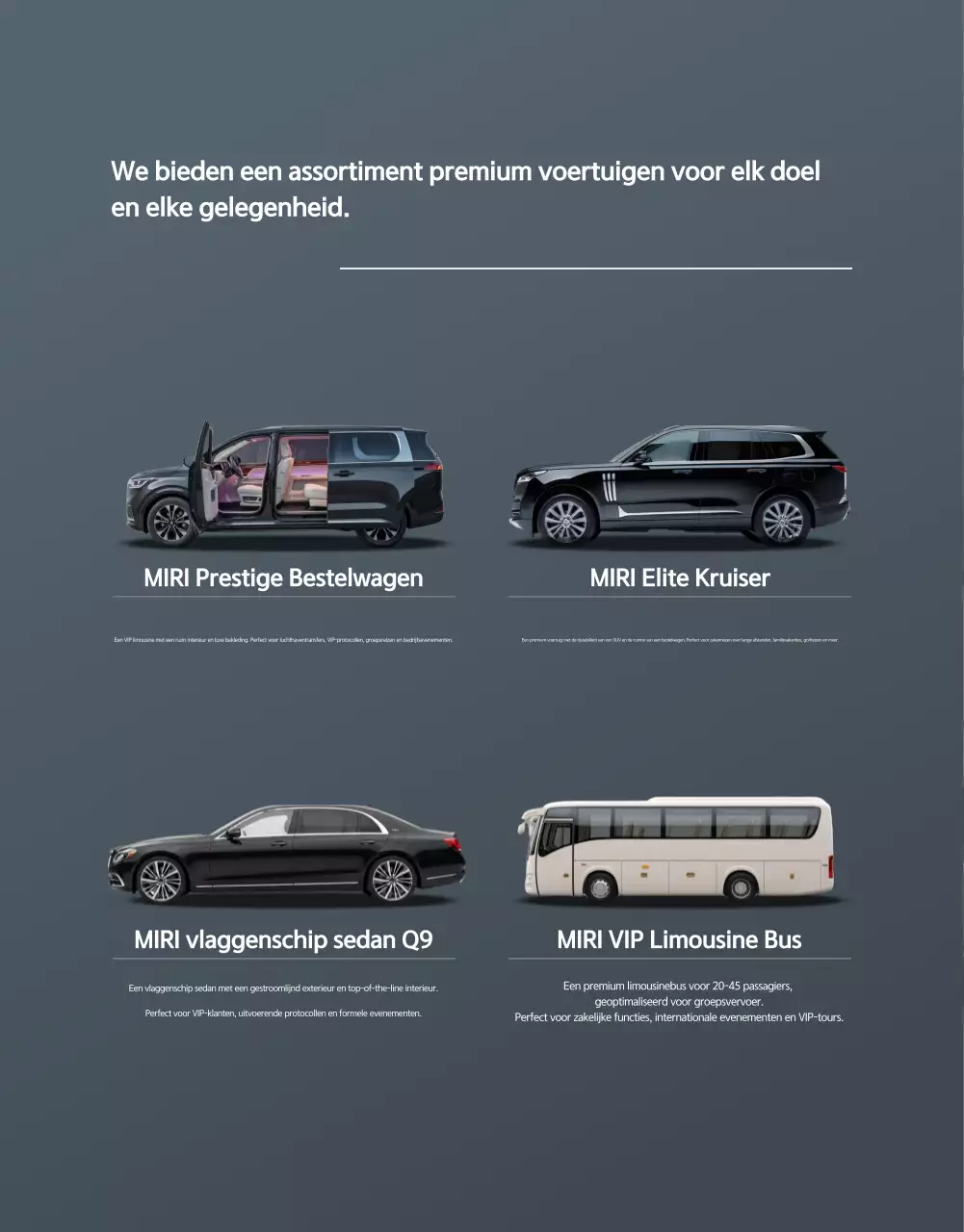 Grijze Luxe Mobiliteitspromotie