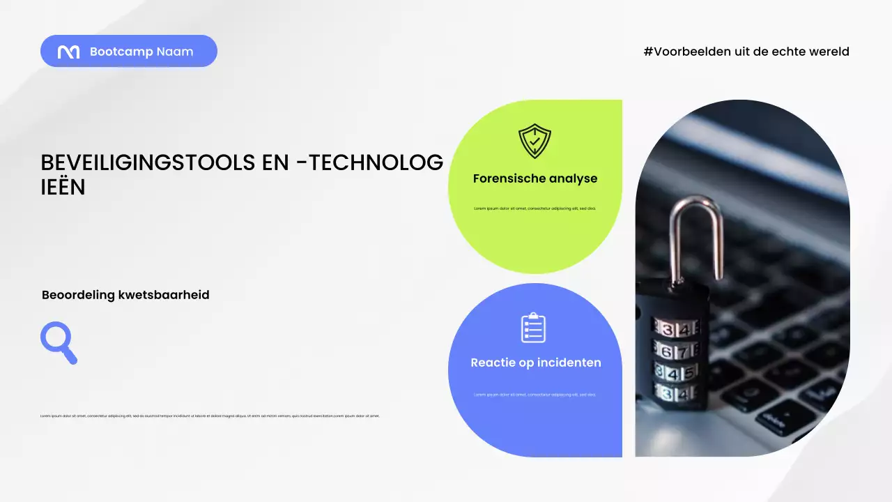 Presentatie van de Blue Modern Security Guide