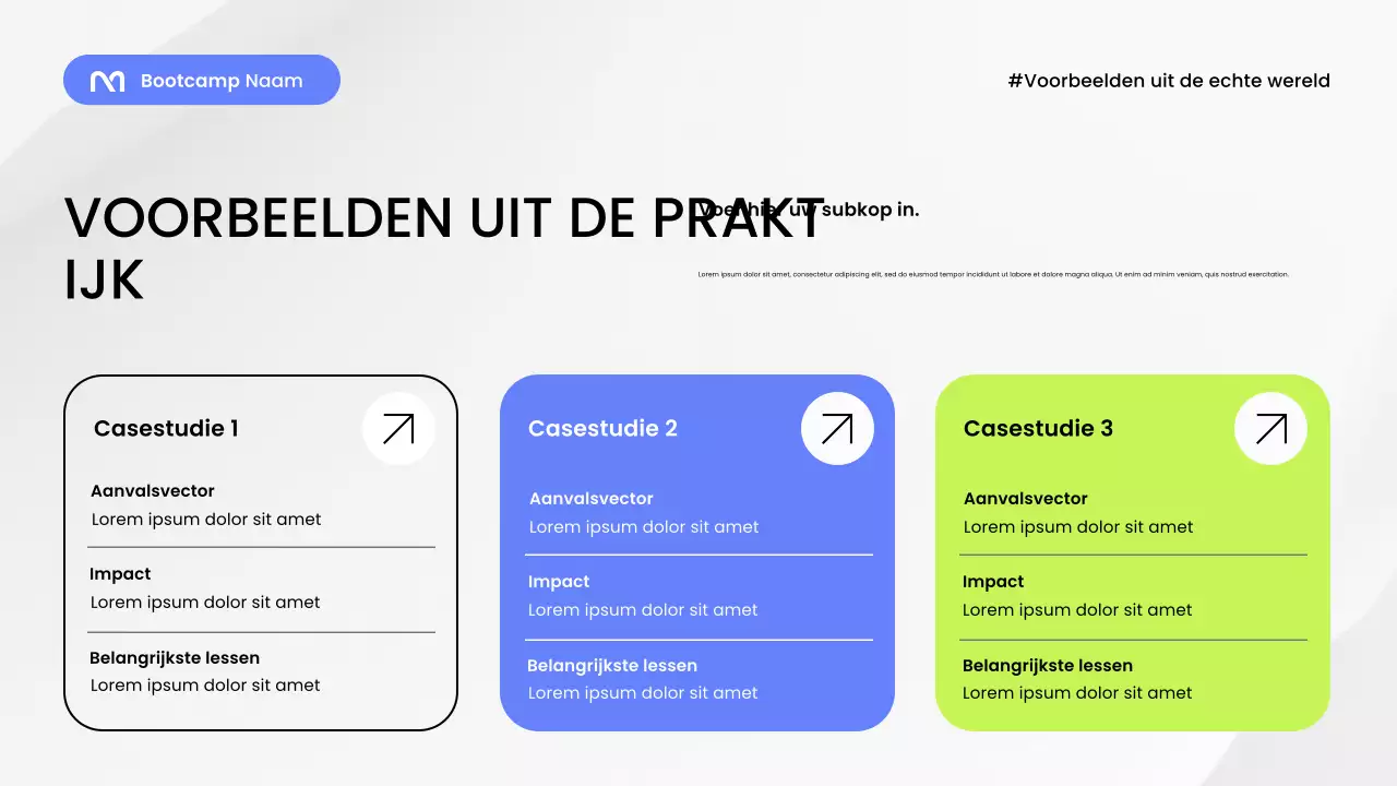 Presentatie van de Blue Modern Security Guide