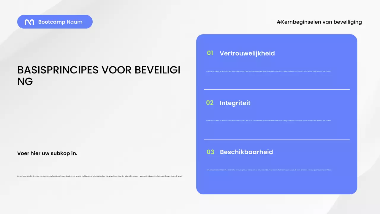 Presentatie van de Blue Modern Security Guide