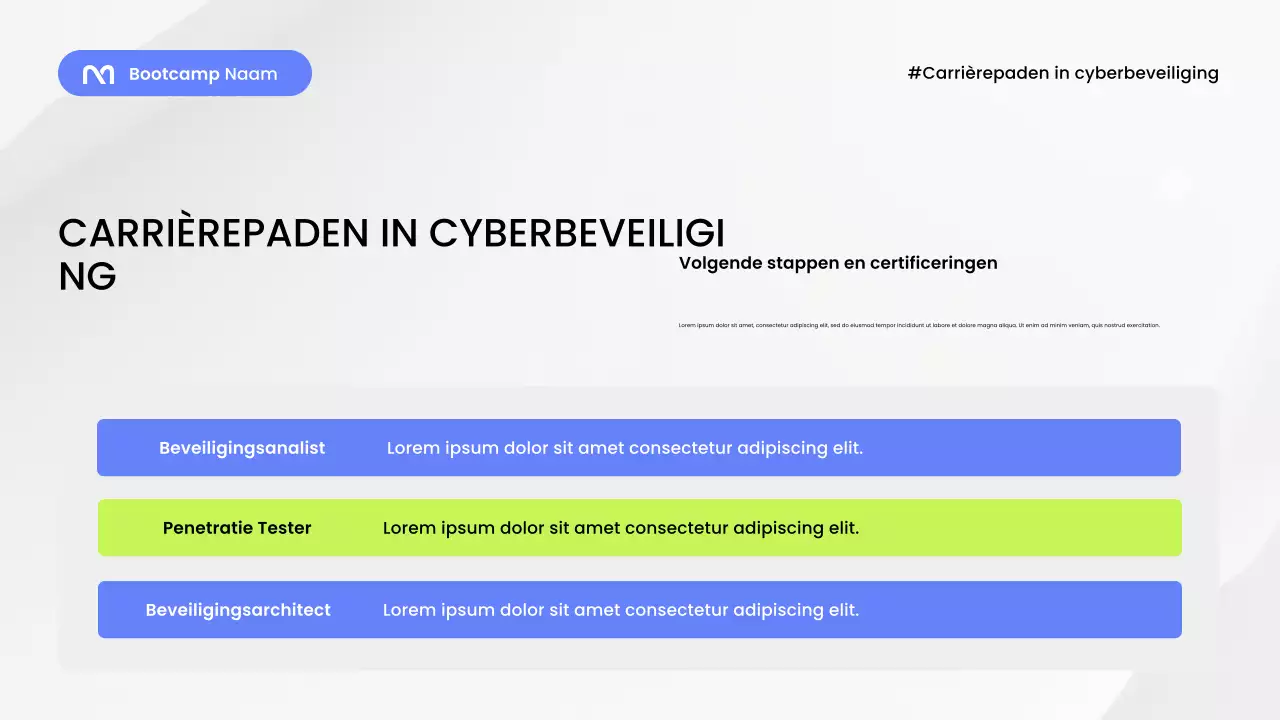 Presentatie van de Blue Modern Security Guide