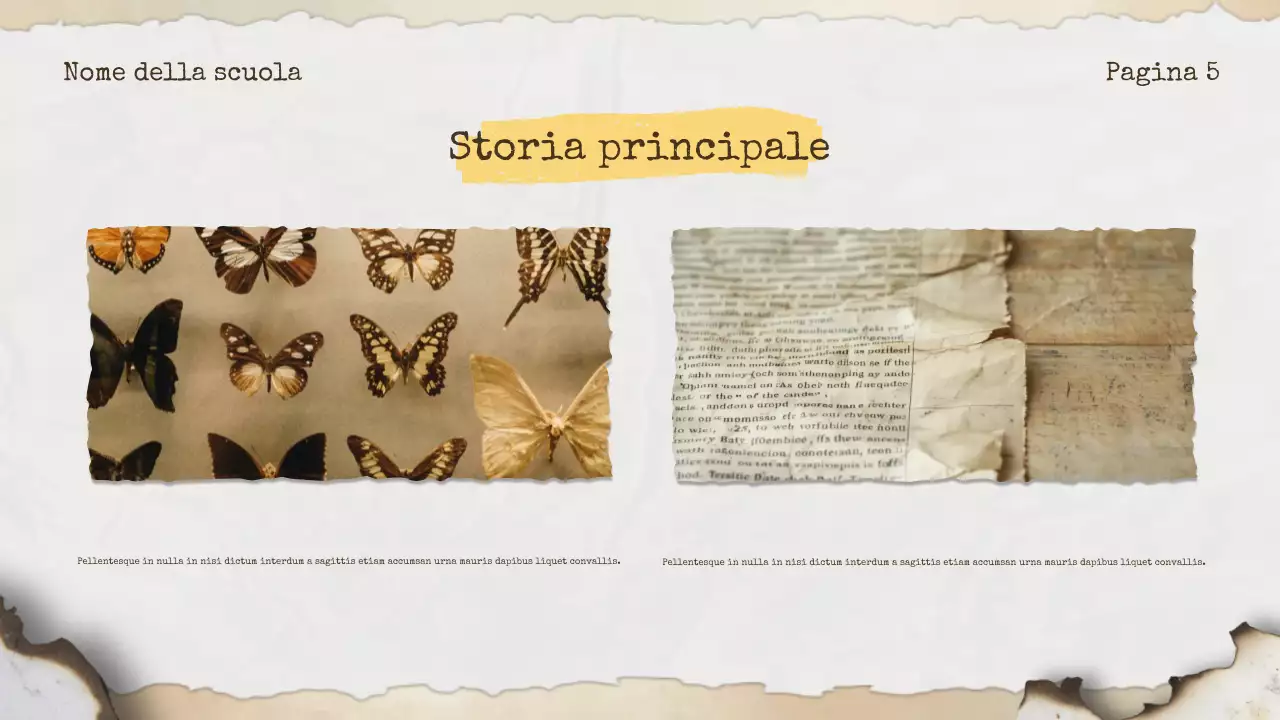 Annuncio della storia di Beige Vintage
