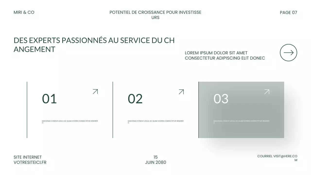 Présentation de l'investissement vert moderne