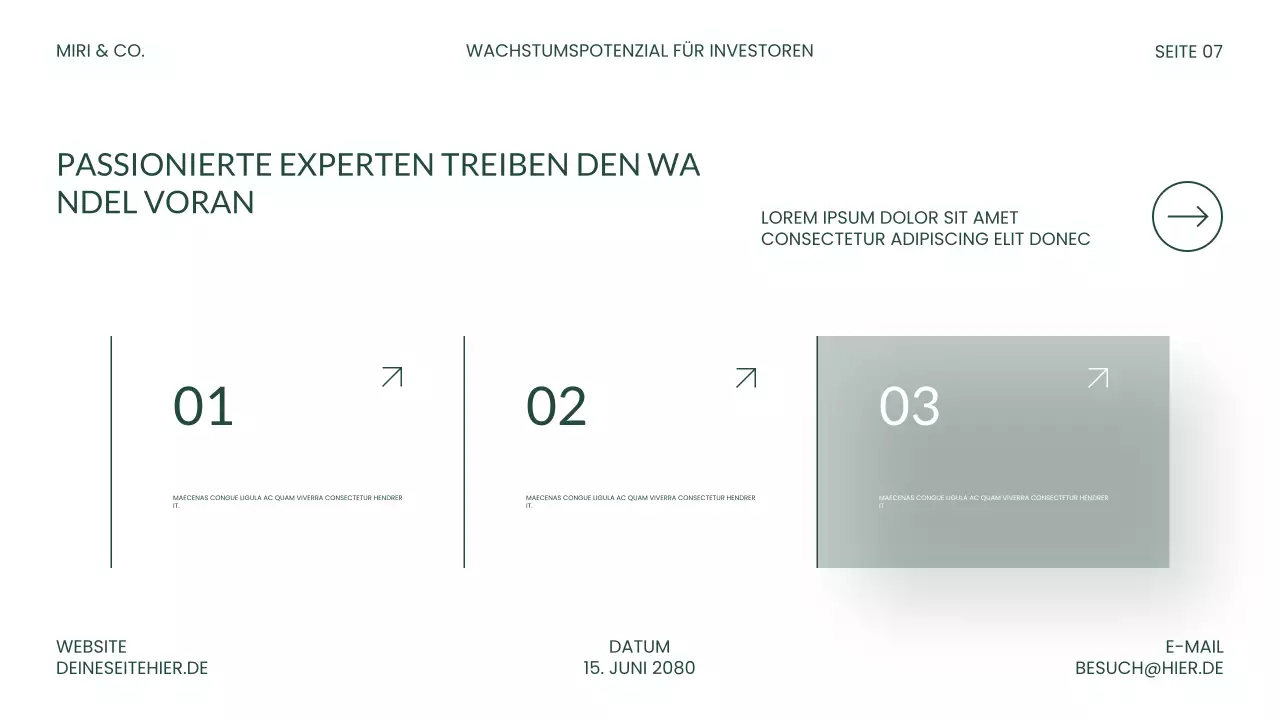 Präsentation zu „Grüne moderne Investitionen“